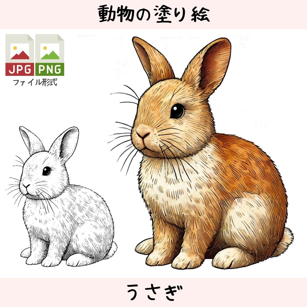 うさぎ - 動物の塗り絵