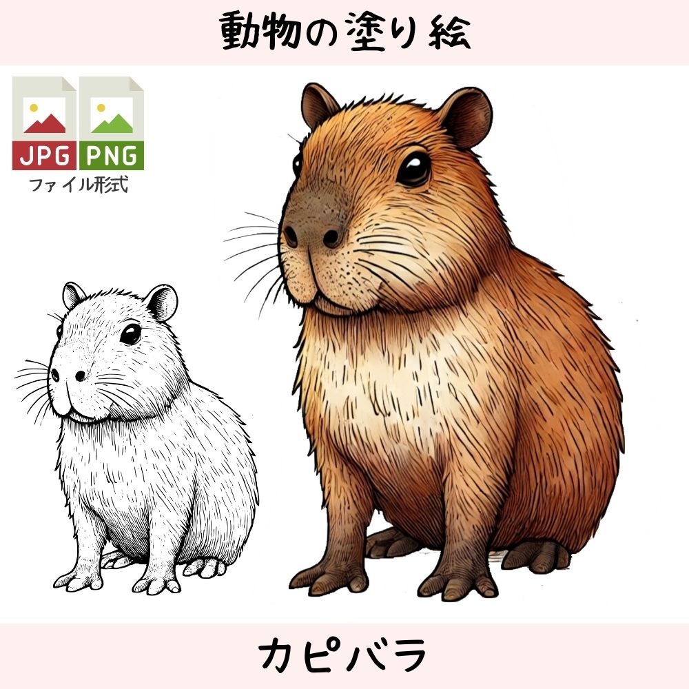 カピバラ - 動物の塗り絵