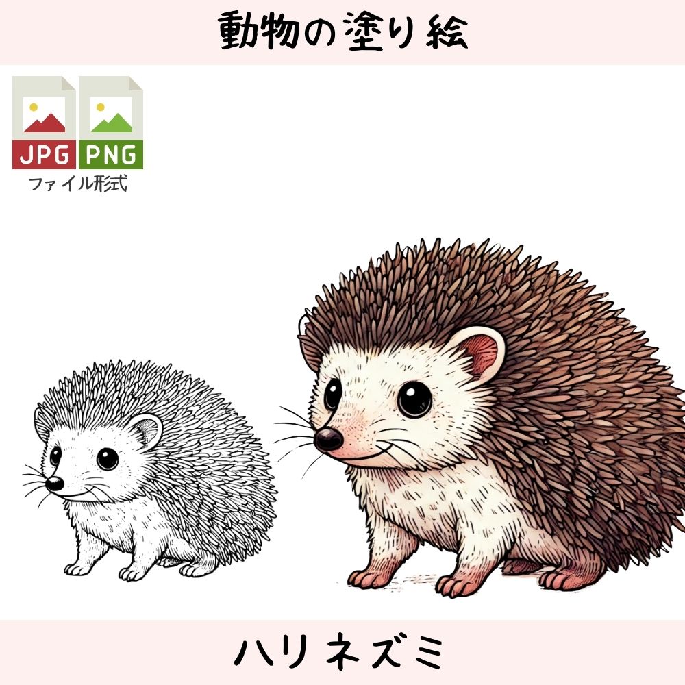 ハリネズミ - 動物の塗り絵