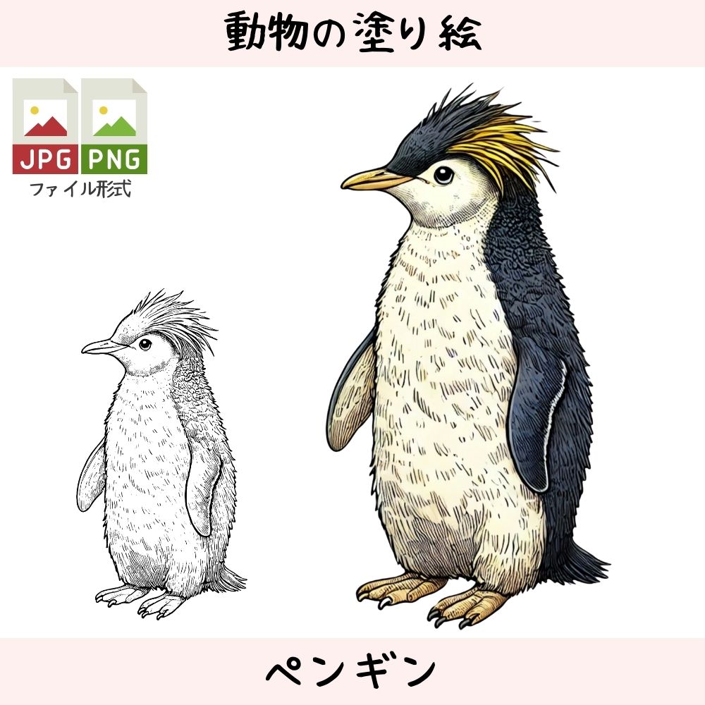 ペンギン - 動物の塗り絵