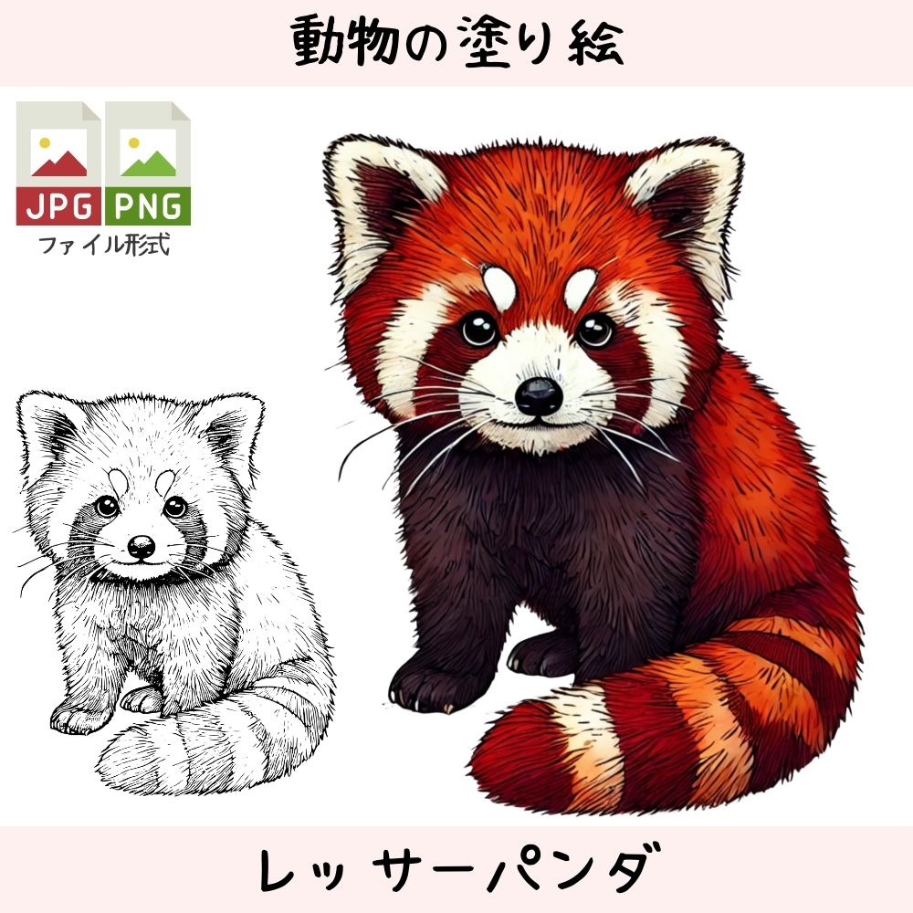 レッサーパンダ - 動物の塗り絵