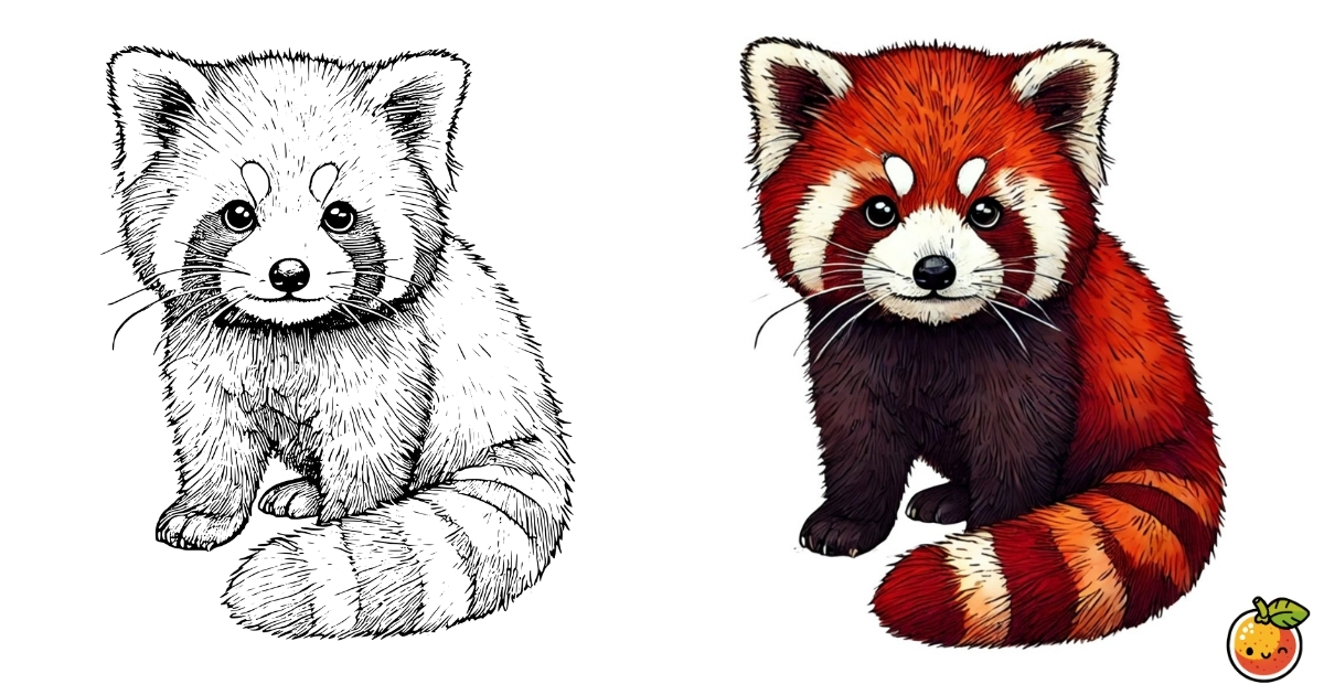 レッサーパンダの塗り絵