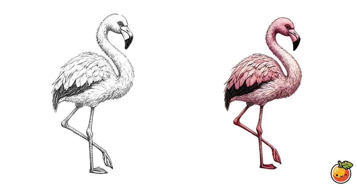 フラミンゴの塗り絵
