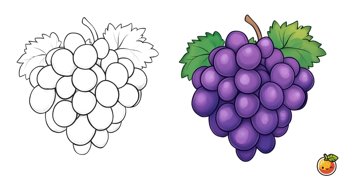 ブドウの塗り絵