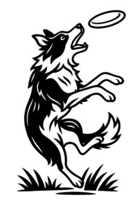 ボーダーコリーとフリスビー