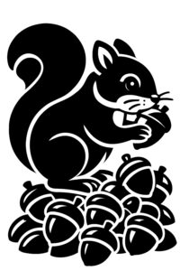 どんぐりコレクター